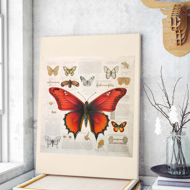 Drawings Butterfly Red Da Vinci Style Vintage Framed Canvas Prints Wall Art Hanging Home Decor